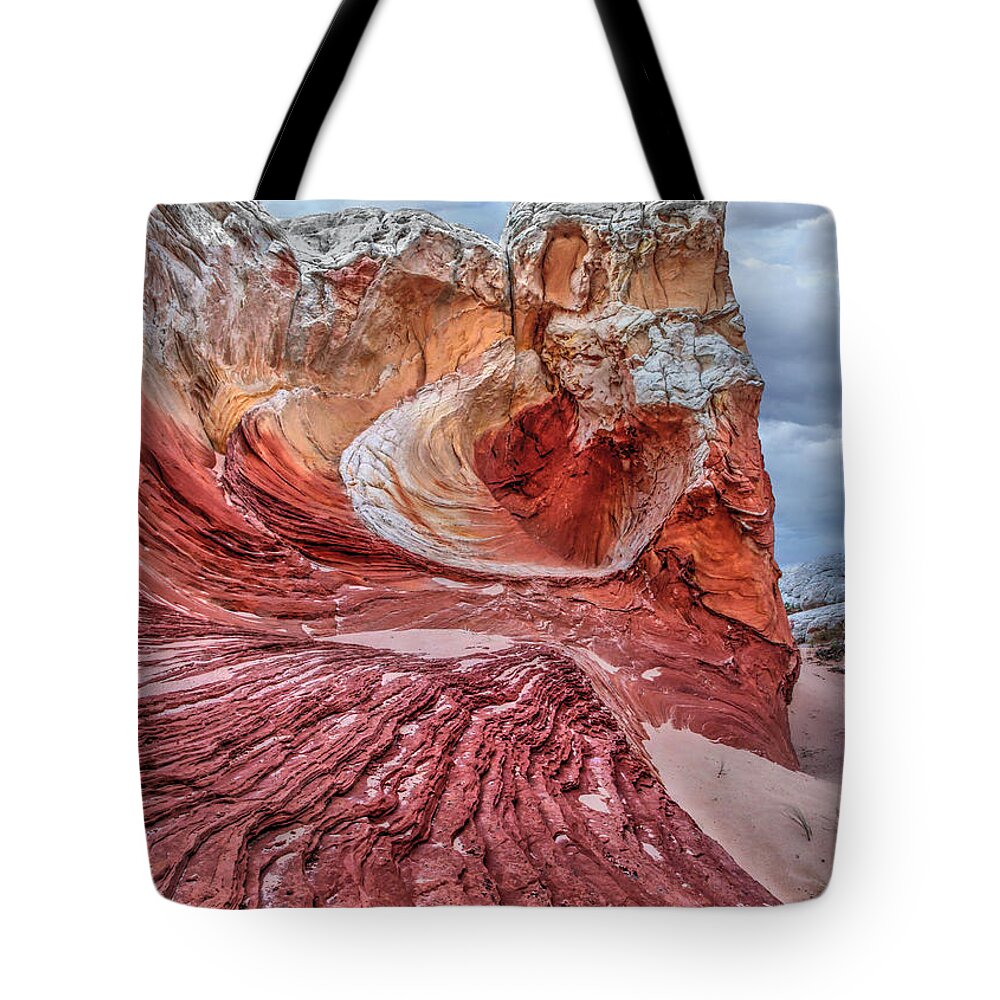 Arizona Tote Bag featuring the photograph Lionheart by David Andersen