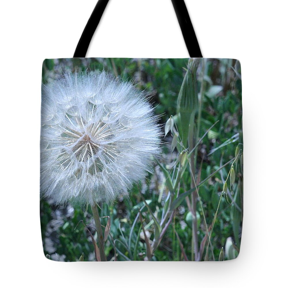 Floral Tote Bag featuring the photograph Lion's Tooth by Mary Mikawoz