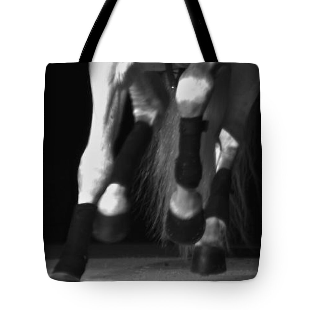 Lipizzaner Tote Bag featuring the photograph Lipizzan 1 by Catherine Sobredo