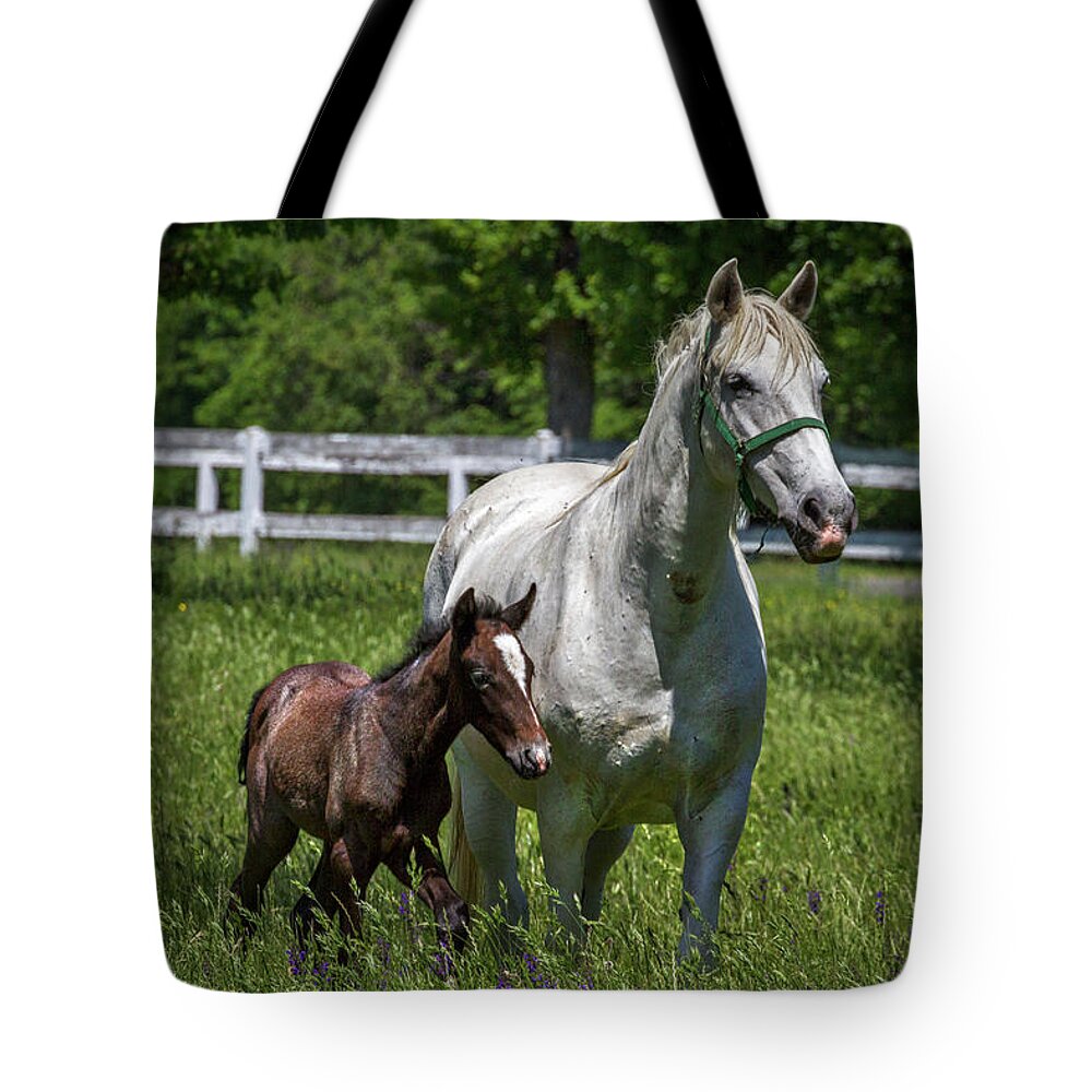Lipizzaner Tote Bag featuring the photograph Lipizzan Horses by Stuart Litoff