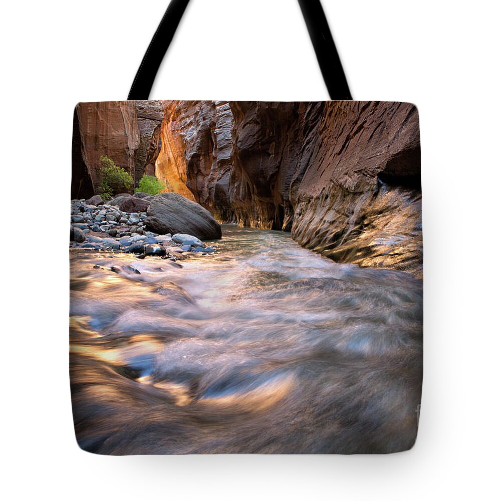 Boise Idaho Tote Bag featuring the photograph Liquid Gold Utah Adventure Landscape Photography by Kaylyn Franks by Kaylyn Franks