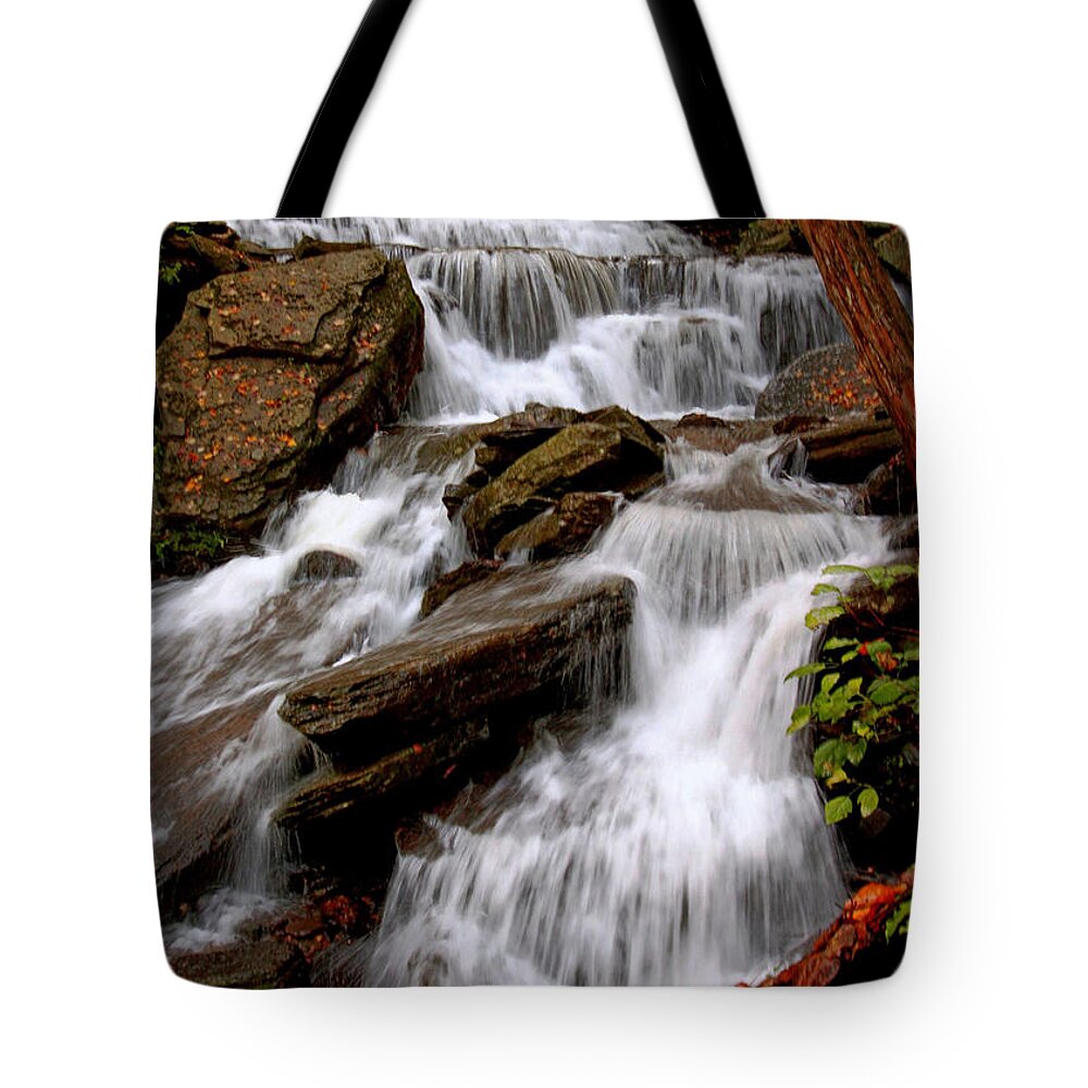 Waterfalls Tote Bag featuring the photograph Little Four Mile Run Falls by Suzanne Stout