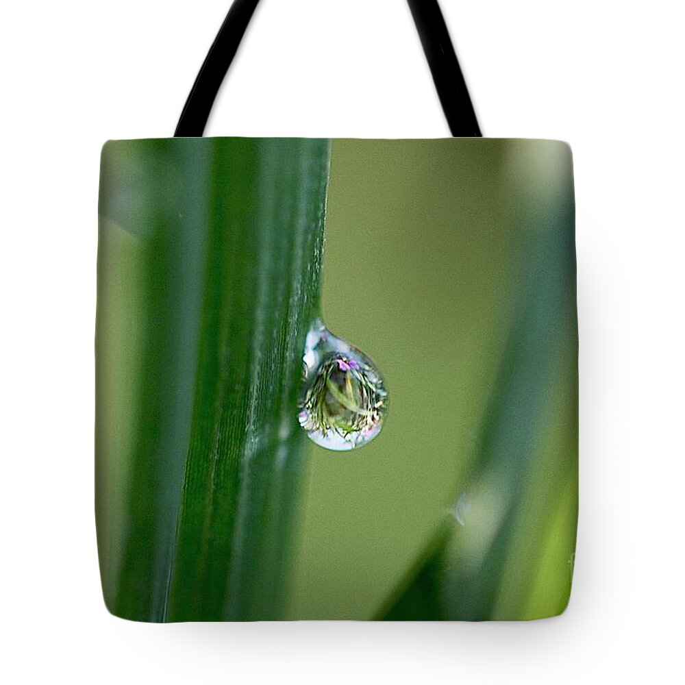 Droplets Tote Bag featuring the photograph Little garden in the droplet by Yumi Johnson