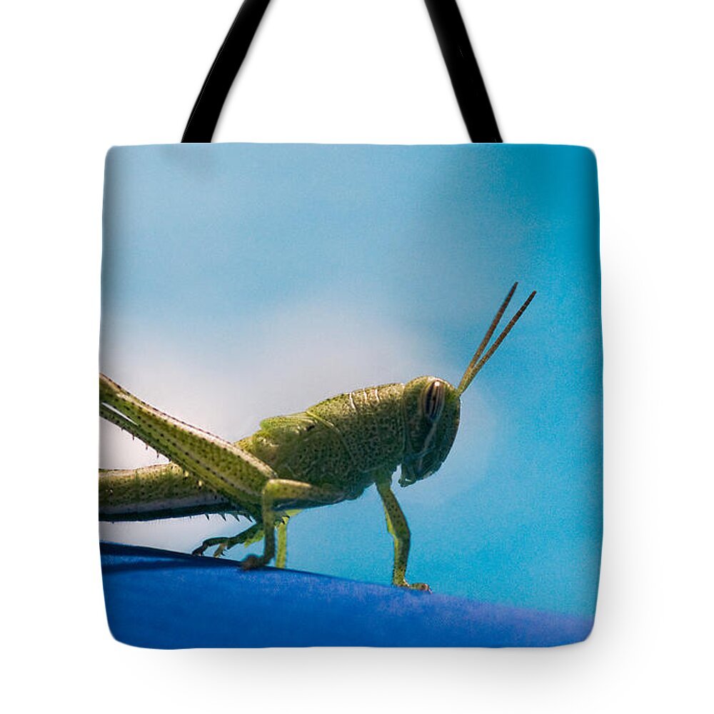 Grasshopper Tote Bag featuring the photograph Little Grasshopper by Christopher Holmes