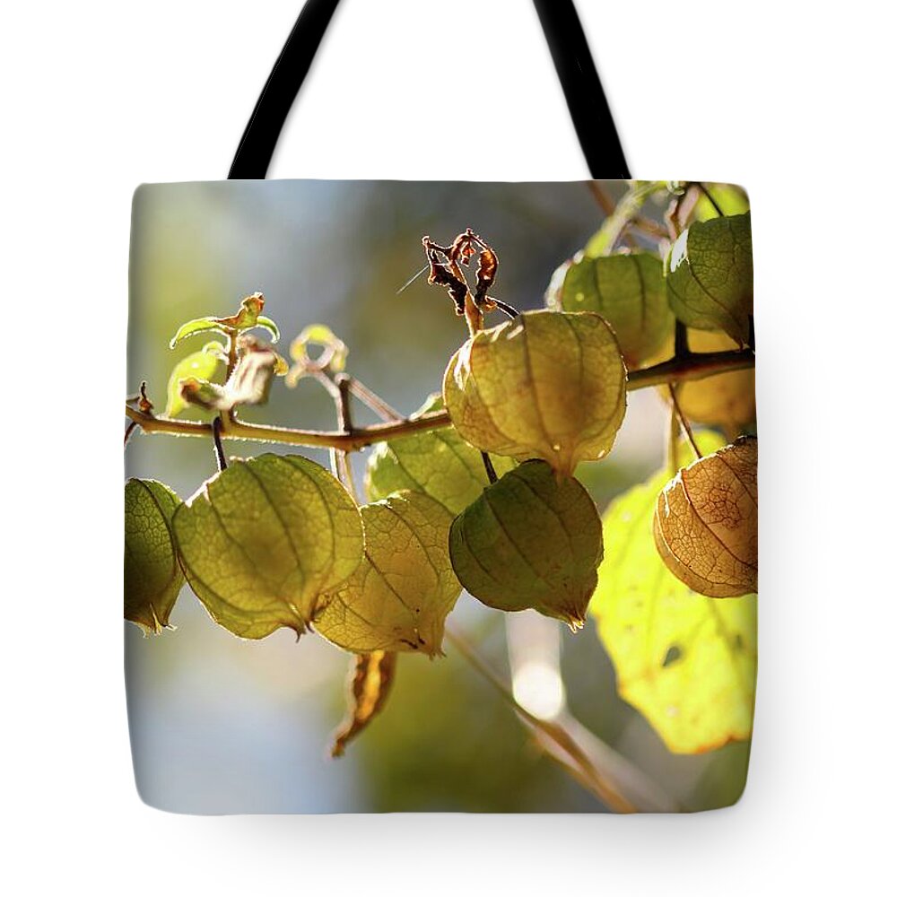 Nature Tote Bag featuring the photograph Little Lanterns by Tracy Male