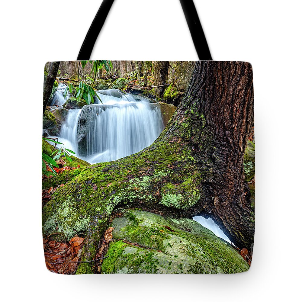 Little Laurel Branch Tote Bag featuring the photograph Little Laurel Branch Waterfall by Thomas R Fletcher