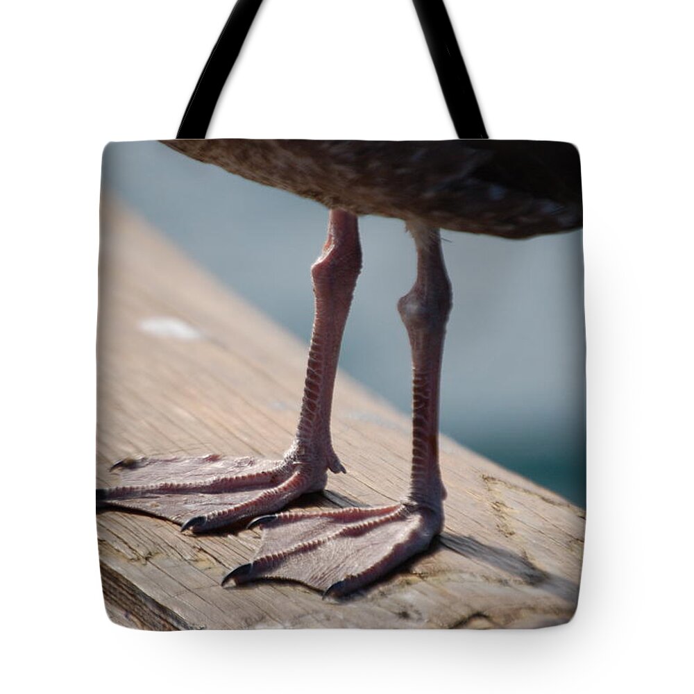 Bird Tote Bag featuring the photograph Little Legs by Maria Aduke Alabi