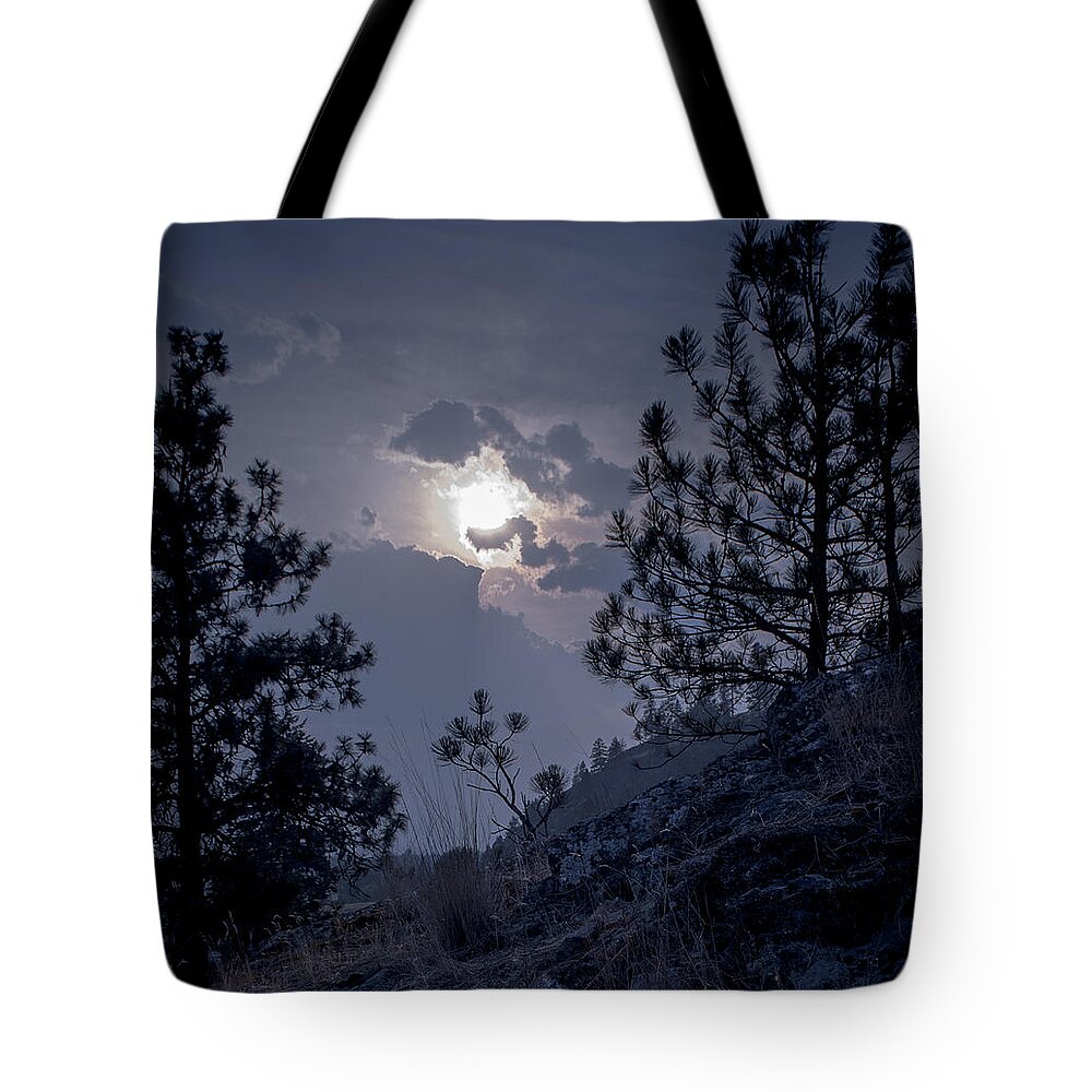 Rattlesnake Mt Tote Bag featuring the photograph Little Pine by Troy Stapek