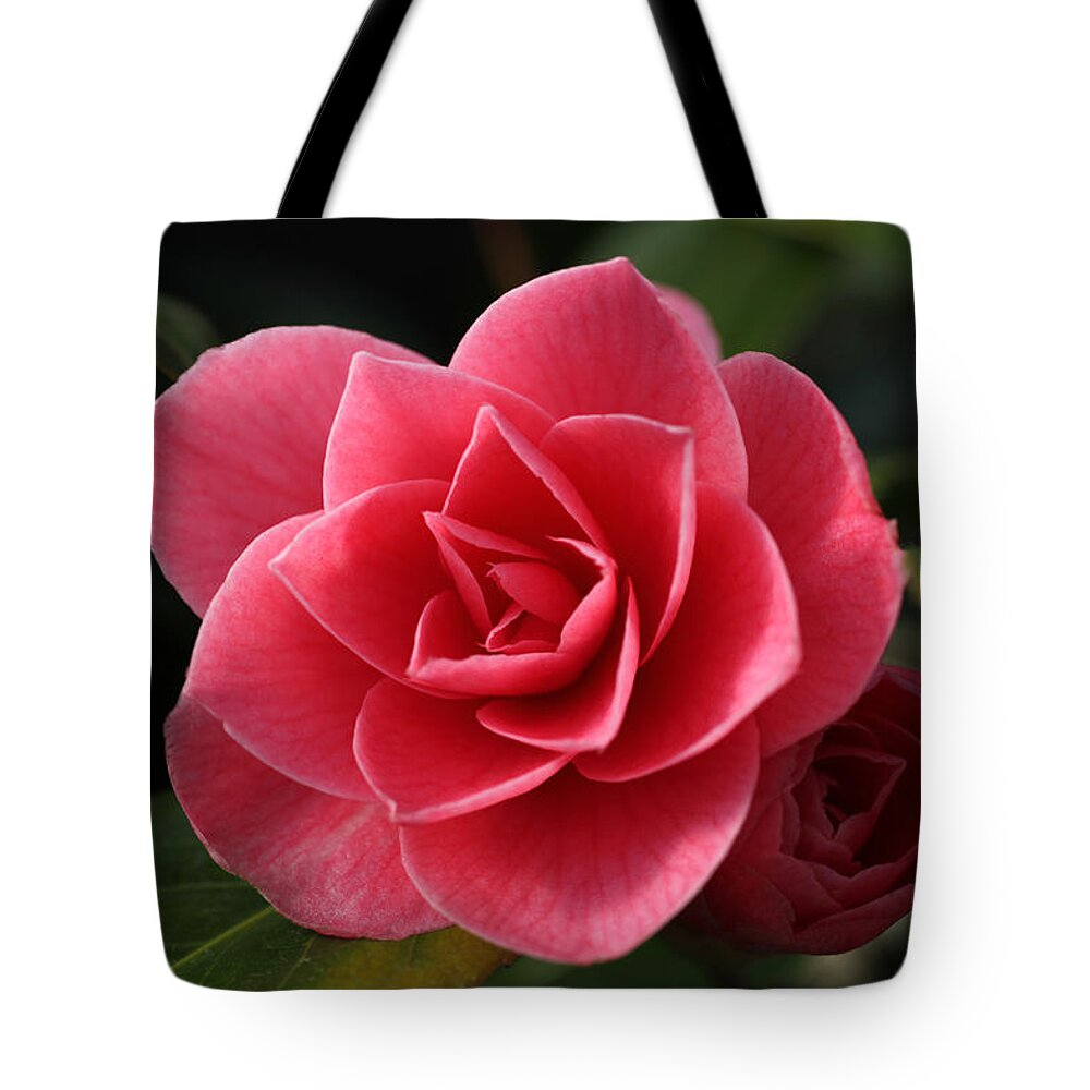 Camellia Tote Bag featuring the photograph Little Ruby by Tammy Pool