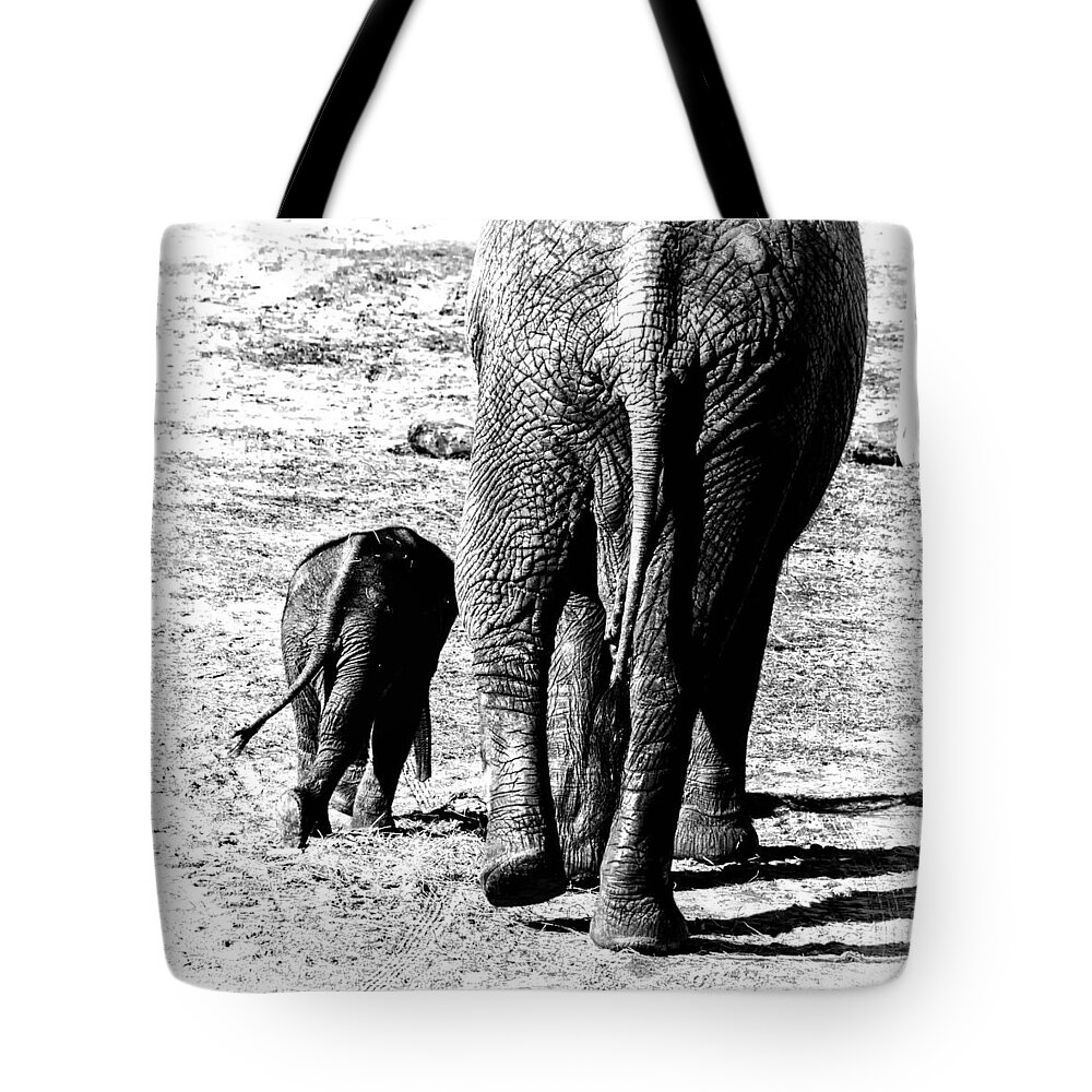 Crystal Yingling Tote Bag featuring the photograph Little Steps by Ghostwinds Photography