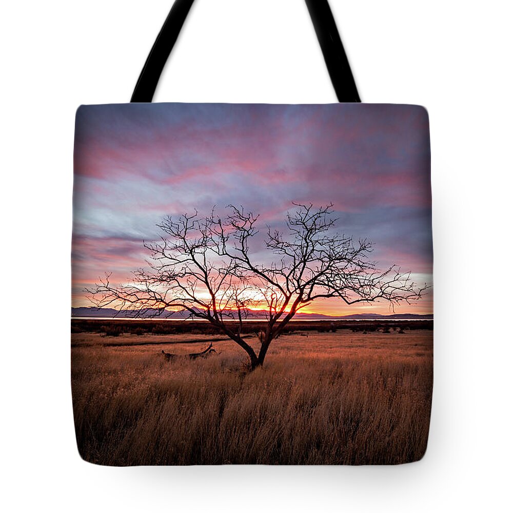 Sunset Tote Bag featuring the photograph Little Tree Sunset by Wesley Aston