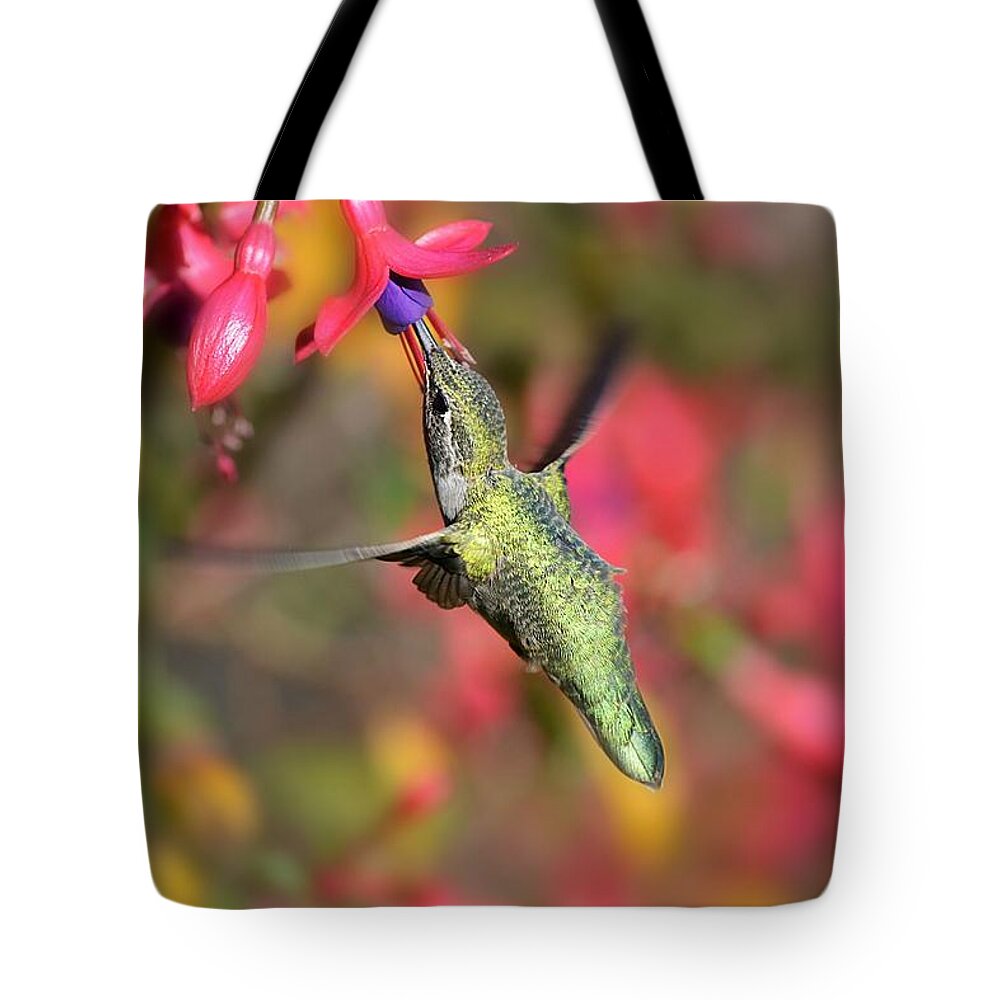 Hummingbird Tote Bag featuring the photograph Little Wonder by Carolyn Mickulas
