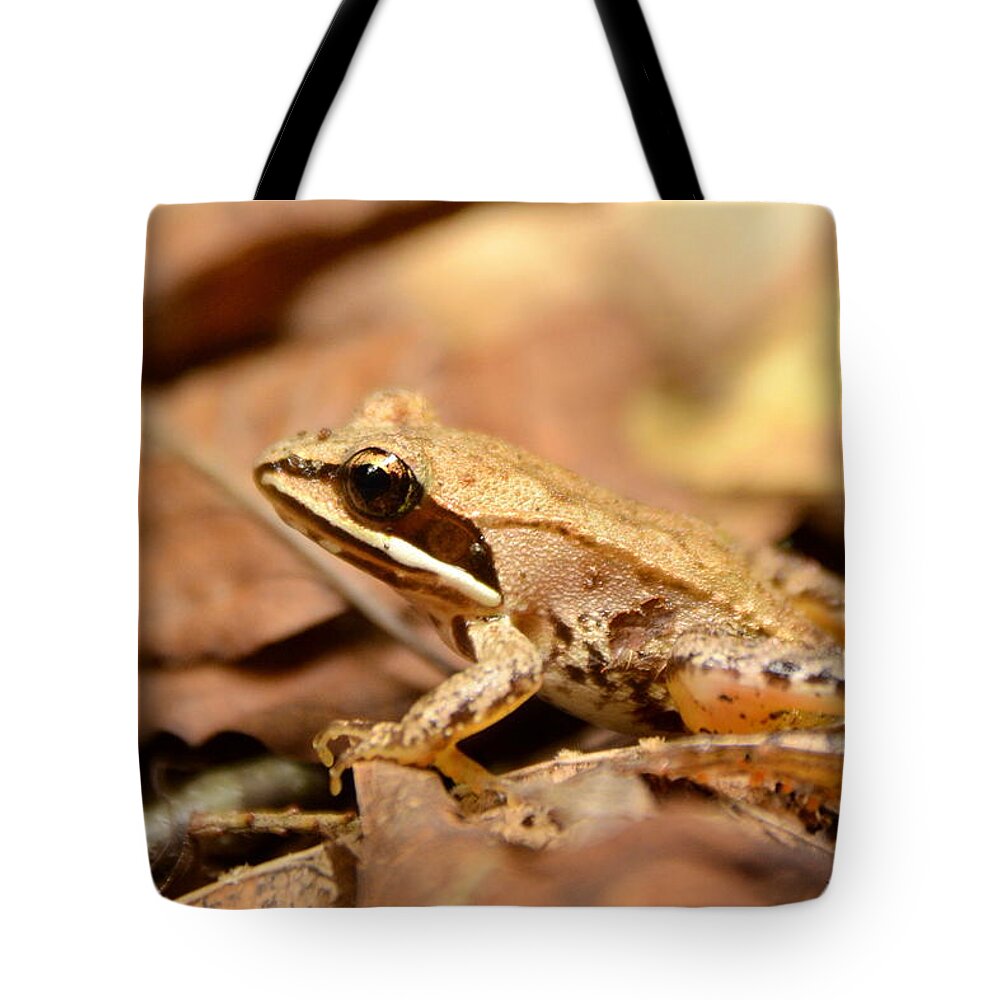 Frog Tote Bag featuring the photograph Little Wood Frog by Harry Moulton