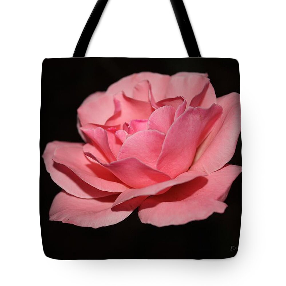 Rose Tote Bag featuring the photograph Liv at Dusk by Diane Lindon Coy