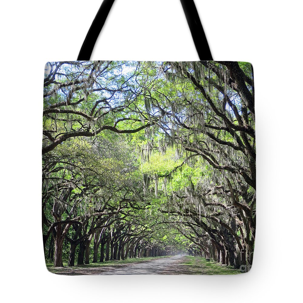 Landscape Tote Bag featuring the photograph Live Oak Canopy by Rick Locke - Out of the Corner of My Eye