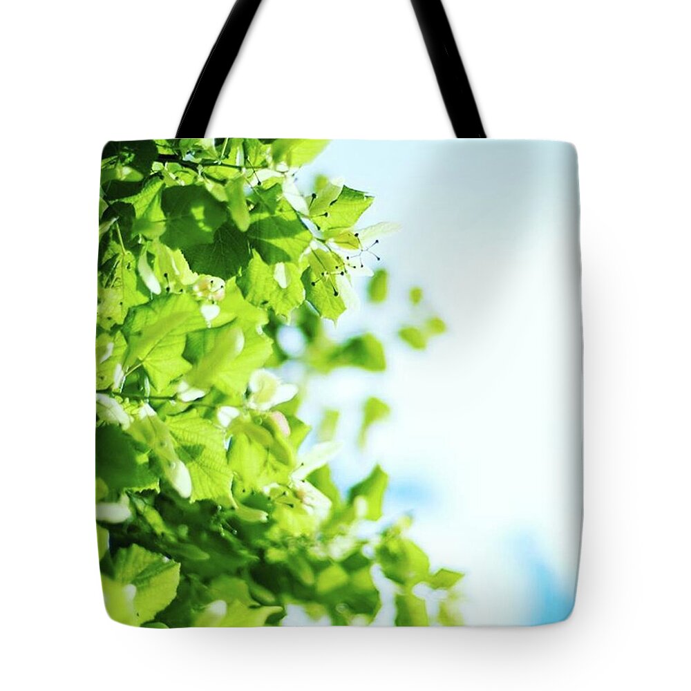 Fun Tote Bag featuring the photograph Lively by Aleck Cartwright