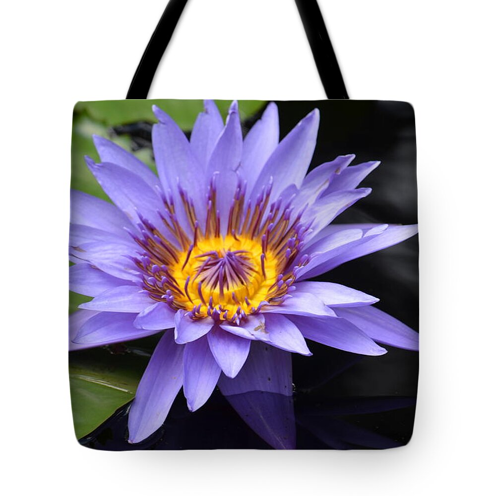 Living Beauty Tote Bag featuring the photograph Living Beauty by Maria Urso