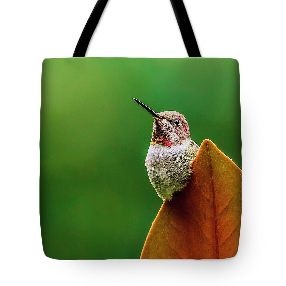 Bird Tote Bag featuring the photograph Living on the Edge by Briand Sanderson
