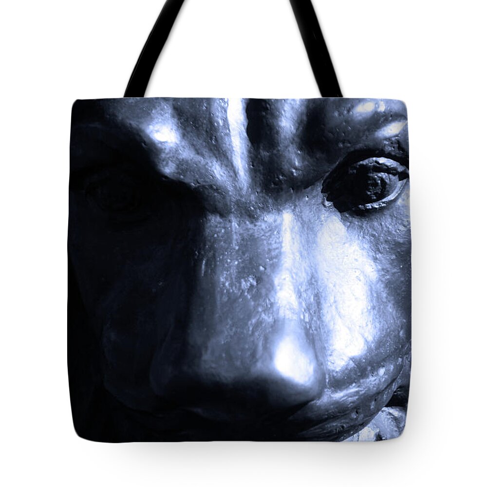 Heaton Tote Bag featuring the photograph Loar by Jez C Self