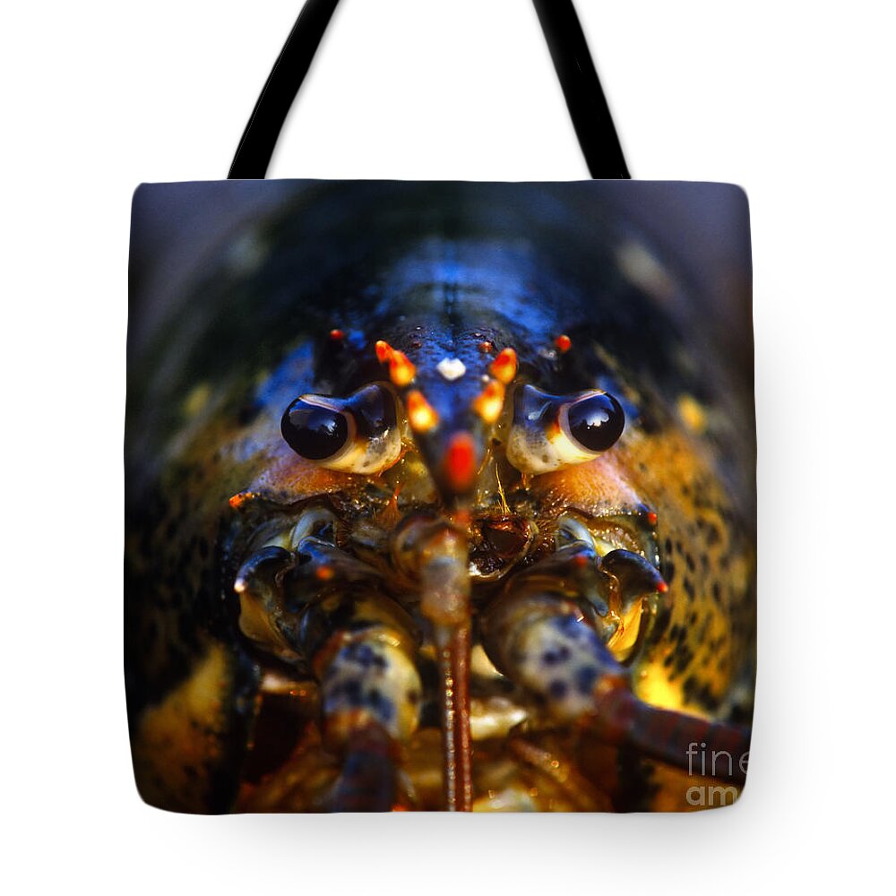 Animal Tote Bag featuring the photograph Lobster by John Greim