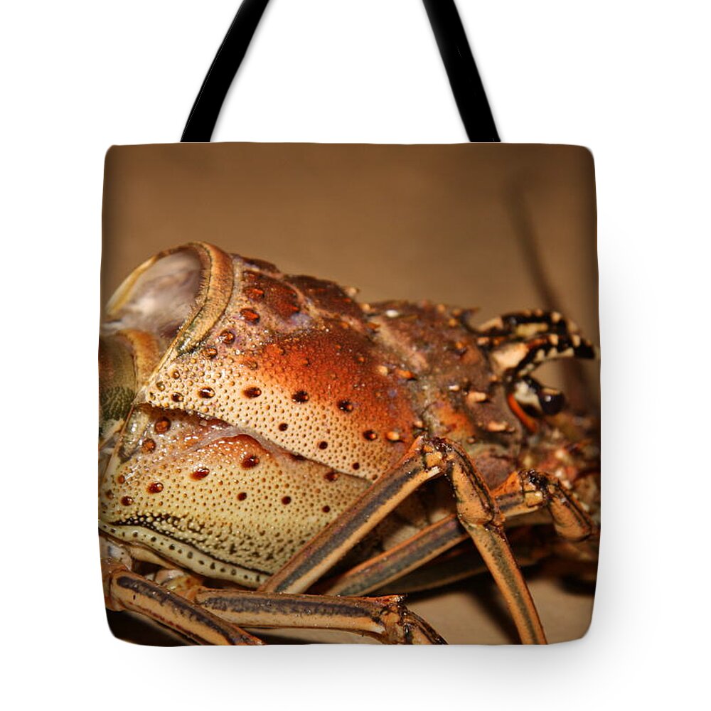 Lobster Tote Bag featuring the digital art Lobster by Super Lovely