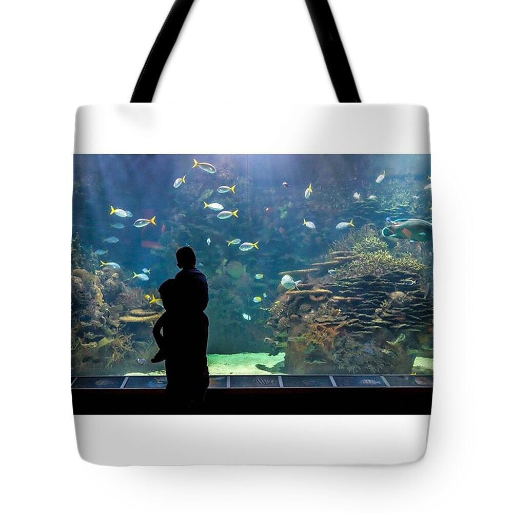 Europe Tote Bag featuring the photograph L'oceanografic. City Of Arts And by Marcelo Valente