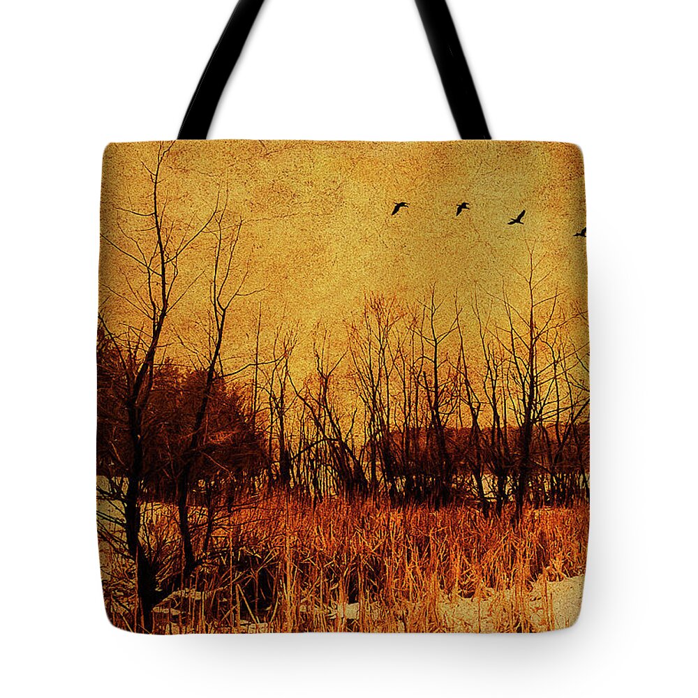 Cloudy Tote Bag featuring the photograph Loch Raven Reservoir Treeline by Reynaldo Williams
