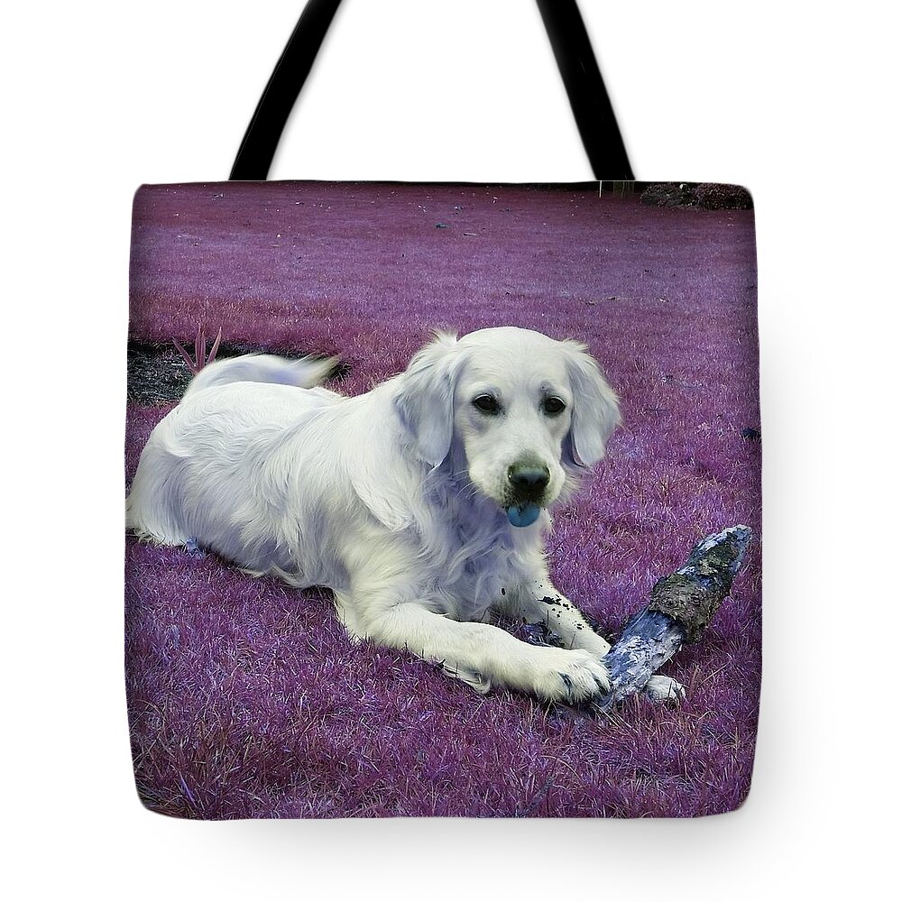 Dog Tote Bag featuring the photograph Log Pile Trophy In Twilight Pink by Rowena Tutty