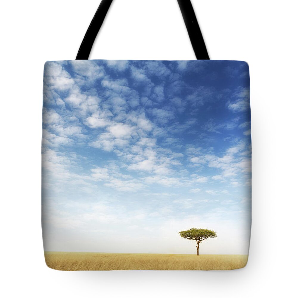 Mara Tote Bag featuring the photograph Lone acacia tree in the Masai Mara by Jane Rix