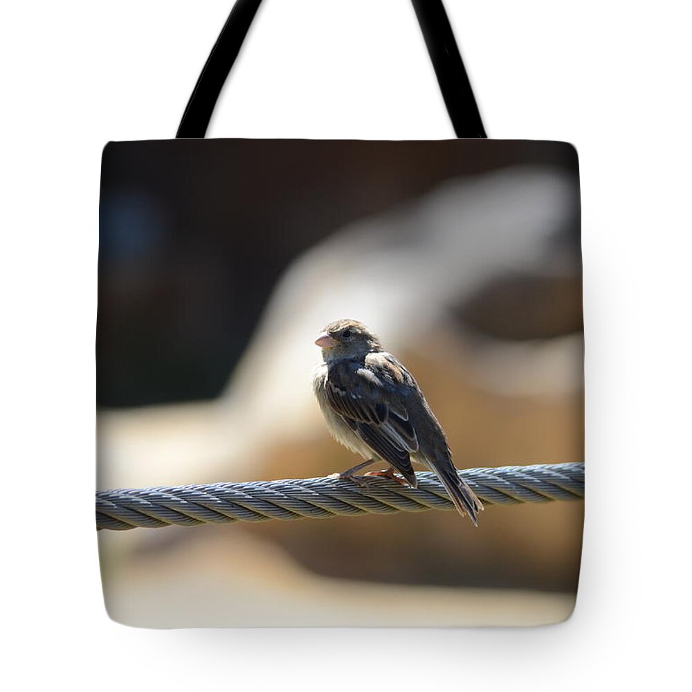 Bird Tote Bag featuring the photograph The Sentry by Chuck Brown