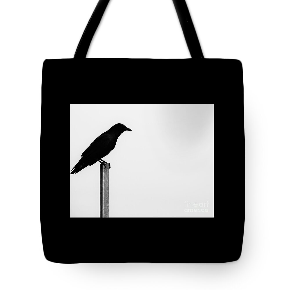 Bird Tote Bag featuring the photograph Lone Bird by Jan Gelders