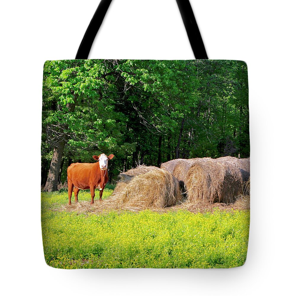 Cow Pictures Tote Bag featuring the photograph Lone Cow Guard, Smith Mountain Lake by The James Roney Collection