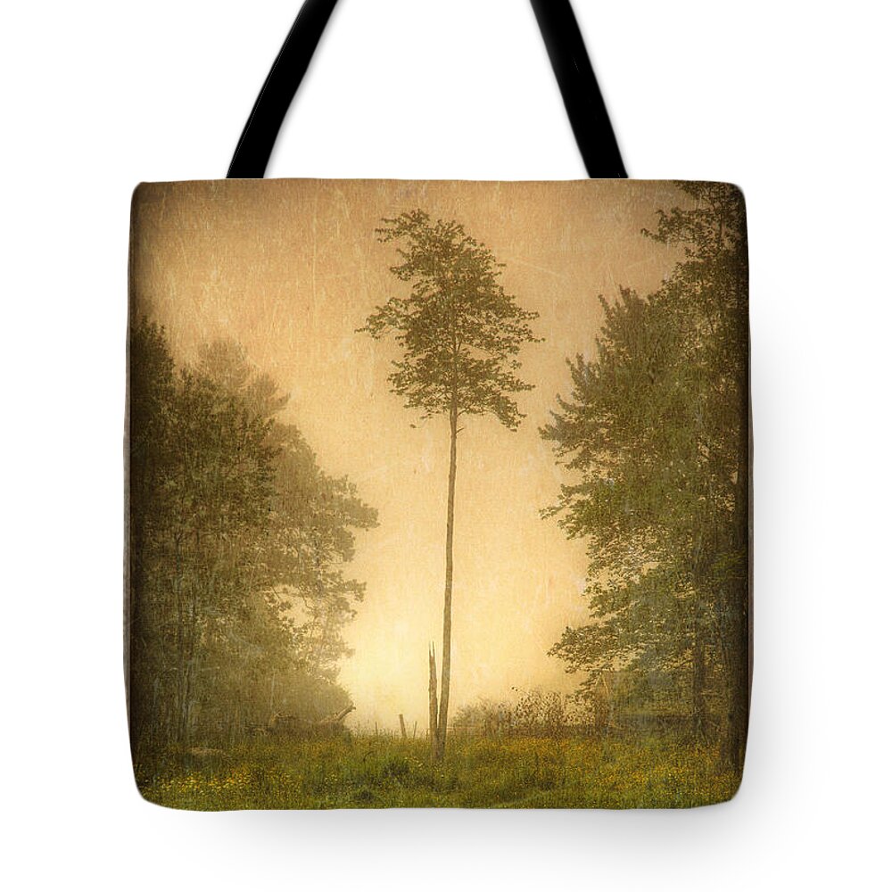 Our Town Tote Bag featuring the photograph Lone Fog Tree in the Meadow by Craig J Satterlee