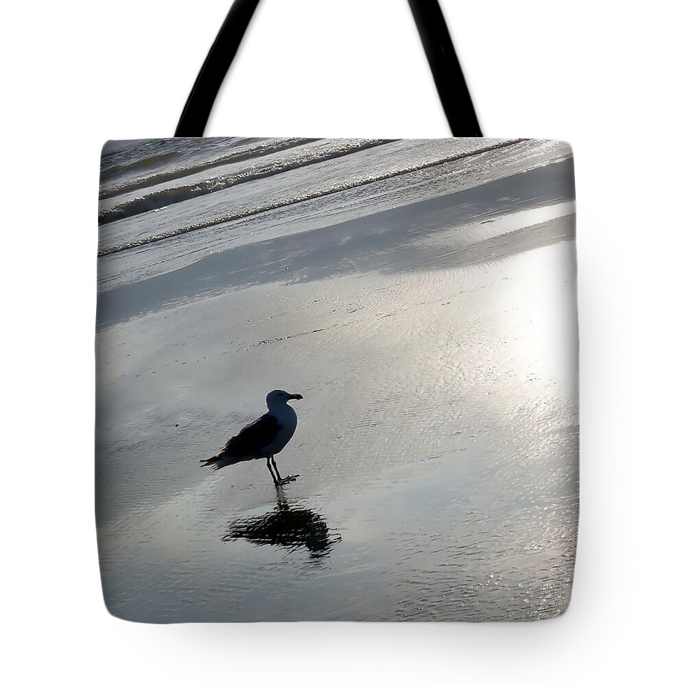 Seagull Tote Bag featuring the photograph Lone Gull by John Winner
