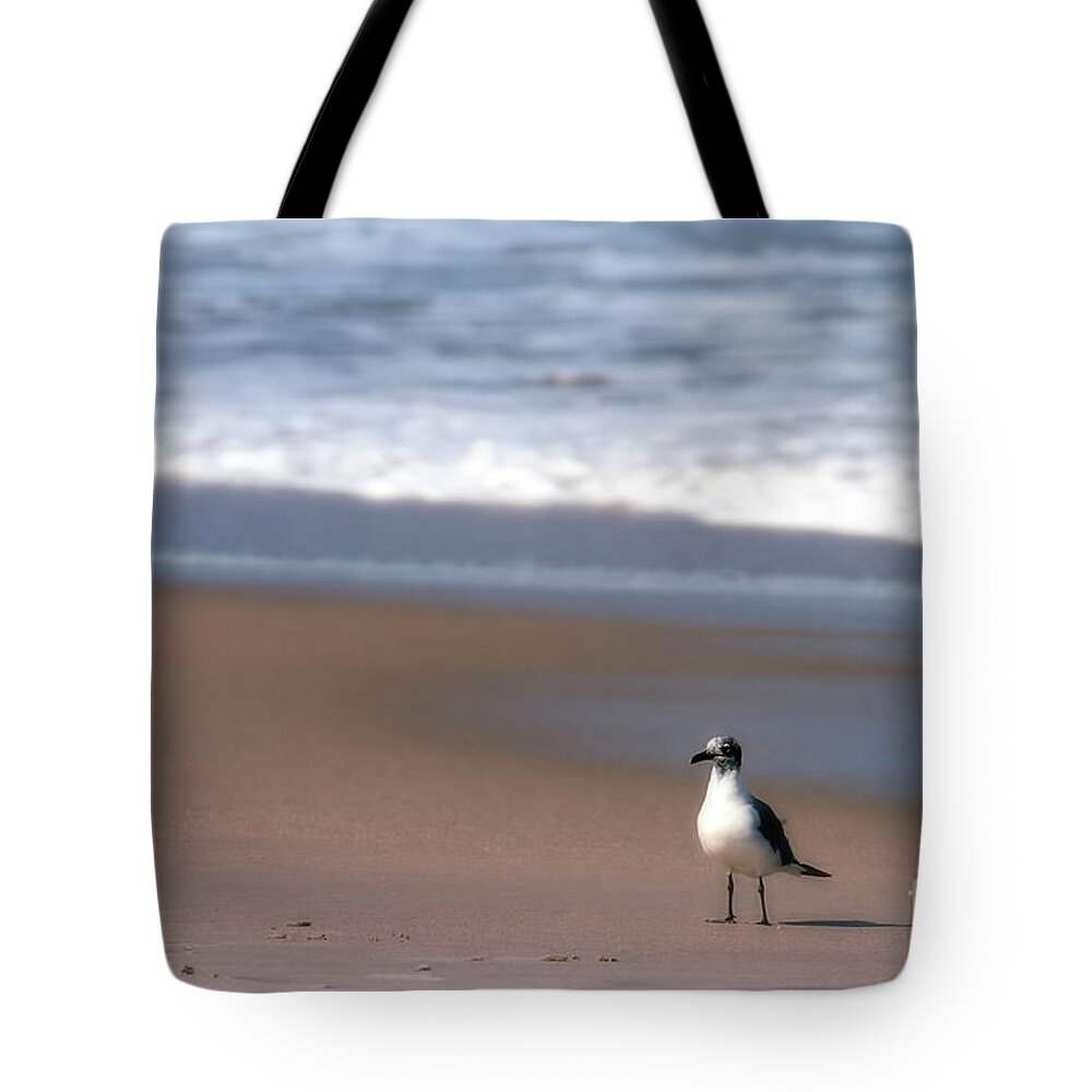 Seagull Tote Bag featuring the photograph Lone Gull by Nicki McManus
