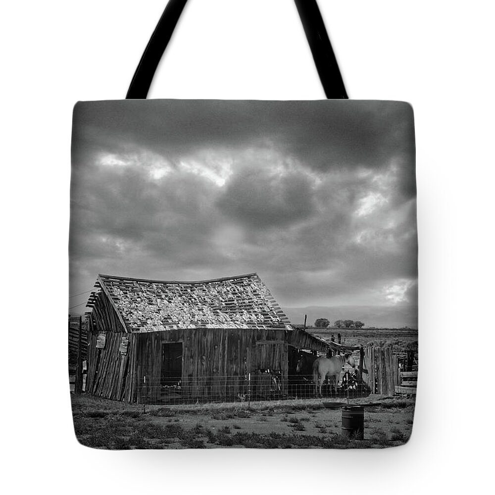 Barn Old Horse Clouds Drama Forboding Tote Bag featuring the photograph Lone horse by Carolyn D'Alessandro