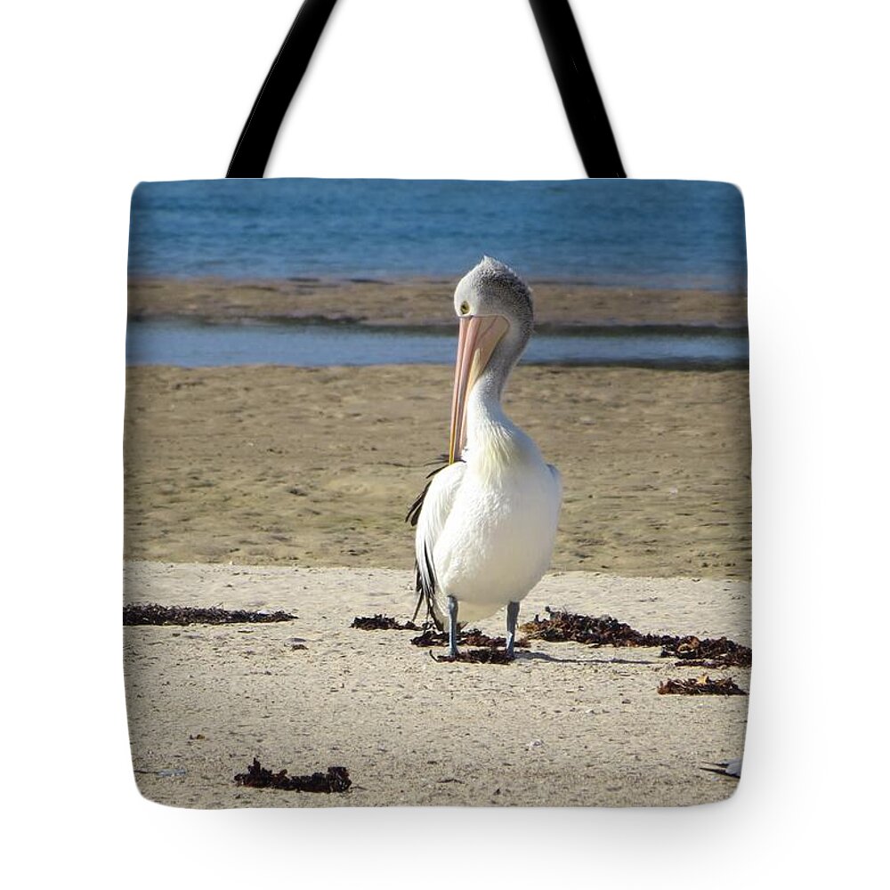 Pelican Tote Bag featuring the photograph Lone Pelican by Amanda S Leek