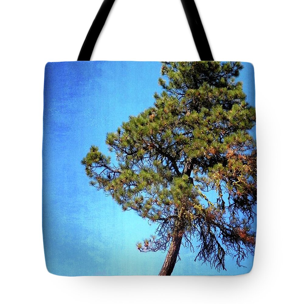 Tree Tote Bag featuring the photograph Lone Pine by Jamie Johnson