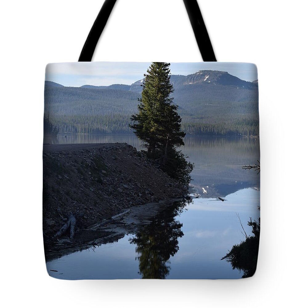 Berg Tote Bag featuring the photograph Lone Pine Reflection Chambers Lake Hwy 14 CO by Margarethe Binkley