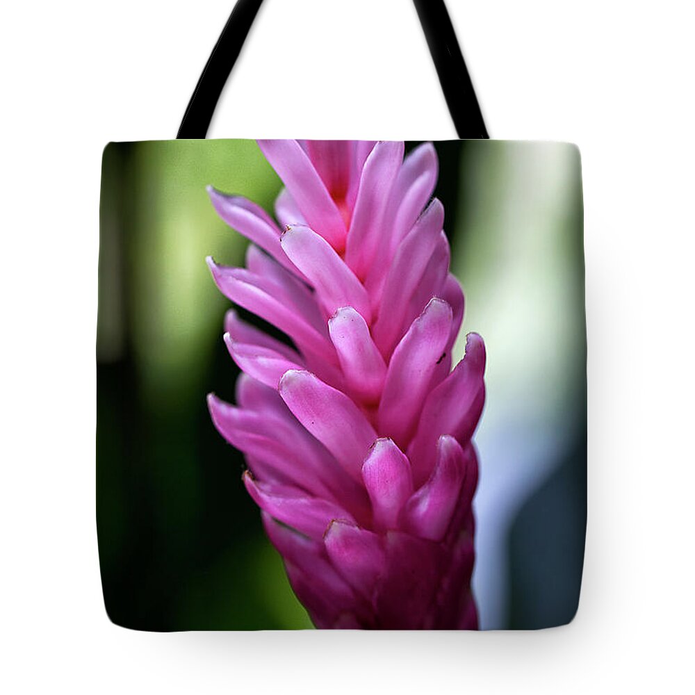 Granger Photography Tote Bag featuring the photograph Lone Pink Ginger by Brad Granger