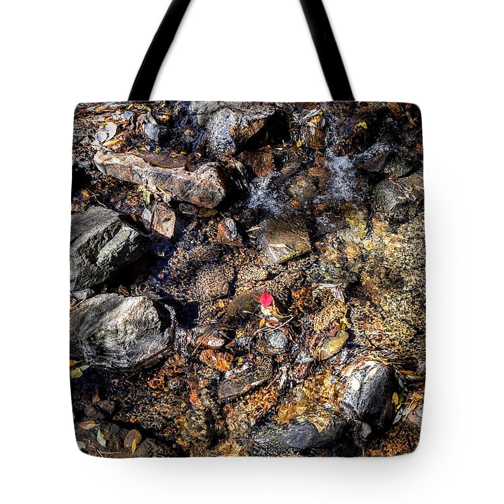 Leaf Tote Bag featuring the photograph Lone Red Leaf by Michael Brungardt