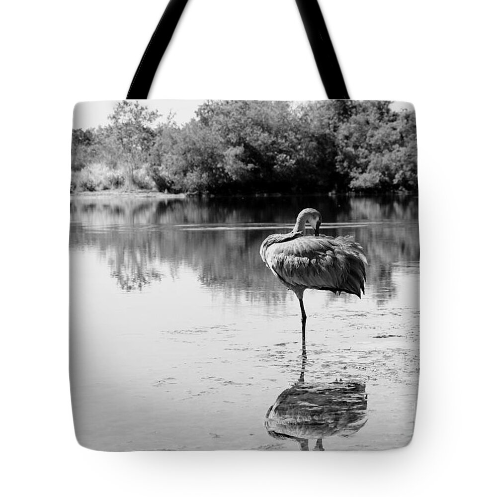 Sandhill Tote Bag featuring the photograph Lone Sandhill in Pond Black and White by Carol Groenen