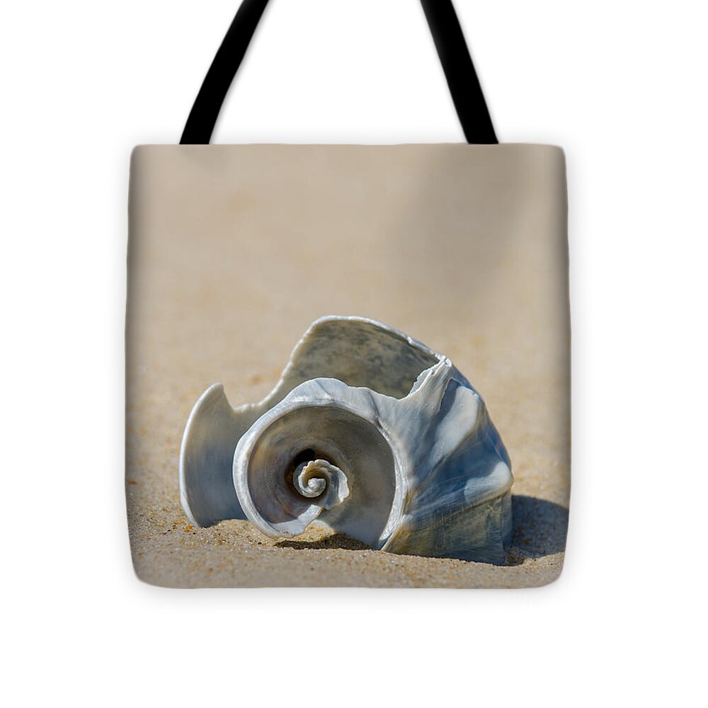 Rodanthe Tote Bag featuring the photograph Lone Shell by Cyndi Goetcheus Sarfan