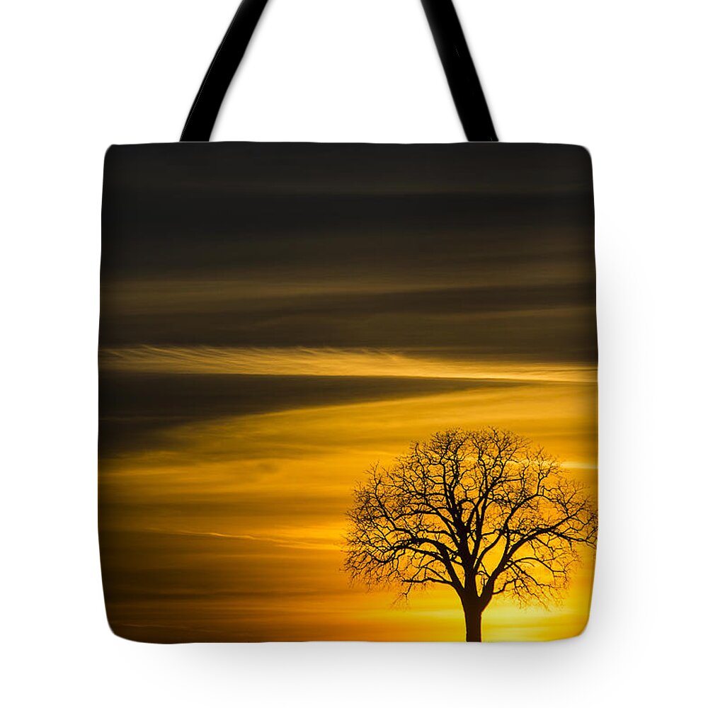 Lone Tree Tote Bag featuring the photograph Lone Tree - 7061 by Steve Somerville