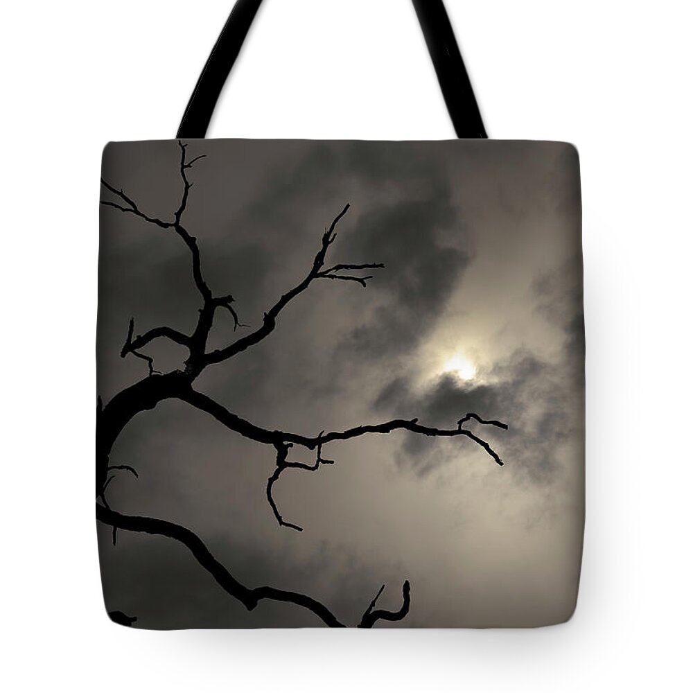 Lone Tote Bag featuring the photograph Lone Tree and Sun Toned by David Gordon