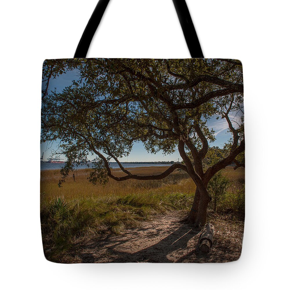 Daniel Island Tote Bag featuring the photograph Lone Tree by Dale Powell