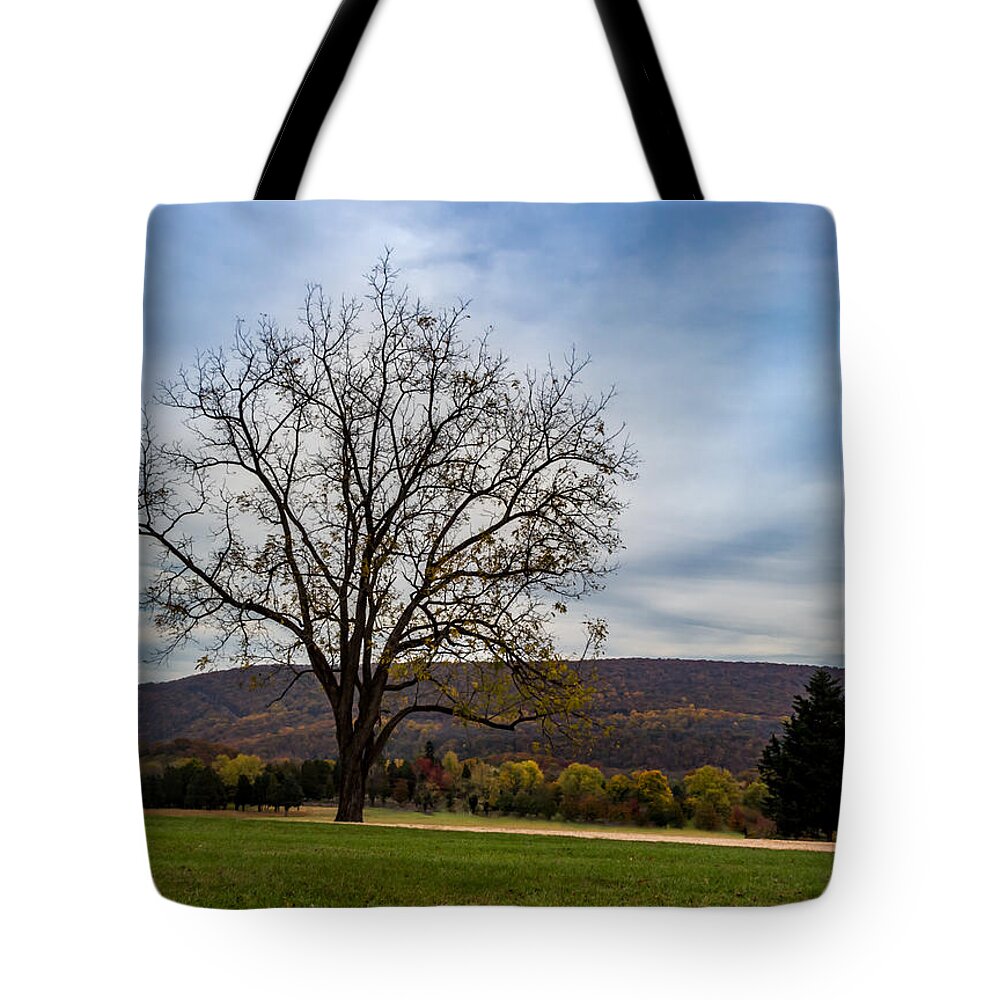 Bolivar Tote Bag featuring the photograph Lone Tree by Ed Clark