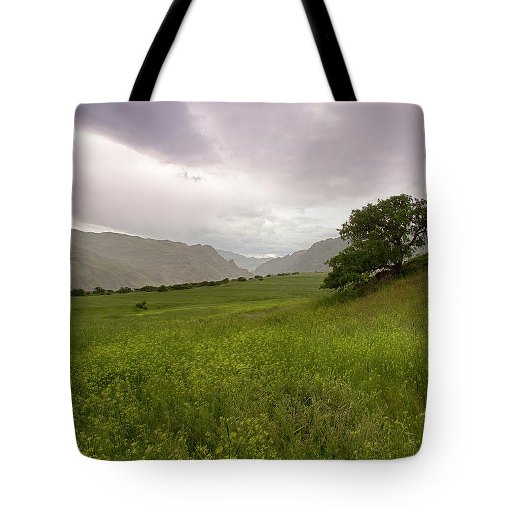 Hells Canyon Tote Bag featuring the photograph Lone Tree by Idaho Scenic Images Linda Lantzy