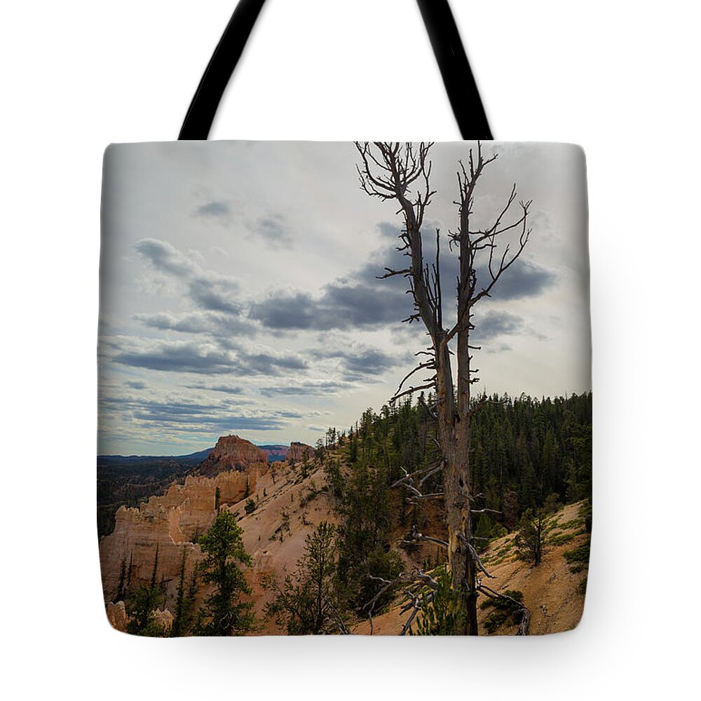 Tree Tote Bag featuring the photograph Lone Tree in Bryce Canyon by Kathleen Scanlan