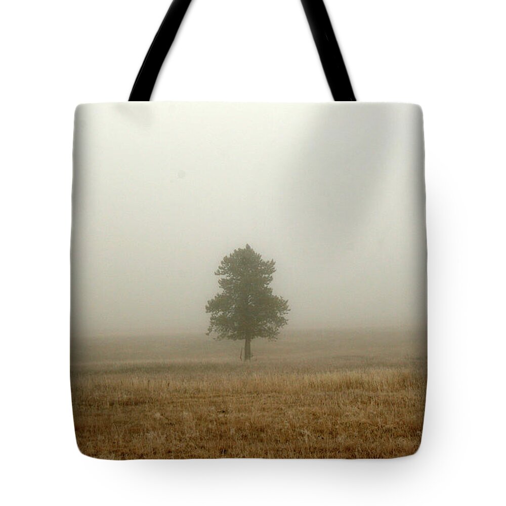 Lone Tree Tote Bag featuring the photograph Lone Tree in Fog by Suzanne Lorenz